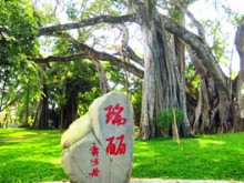 传统景区管委会官方号网感重塑运营