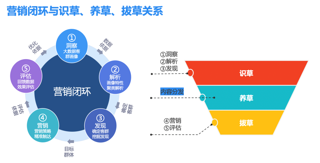 打造乡村旅游新品牌(图1)