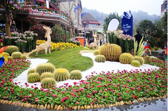 乡村旅游焕新颜黄河风情引客来(图1)